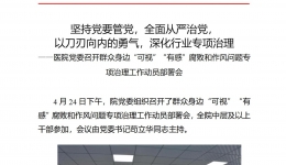 中医院党委简报2022年第10期 开展“可视”“有感”专项治理动员部署会