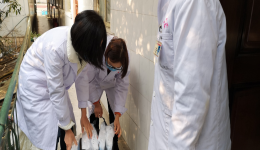 成都市龙泉驿区中医医院新型冠状病毒感染的肺炎防控工作动态（2020年2月11日）